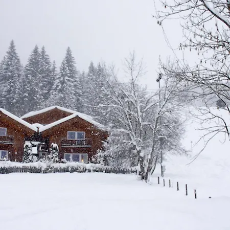 Casa vacanze Gunnar By Interhome Flachau